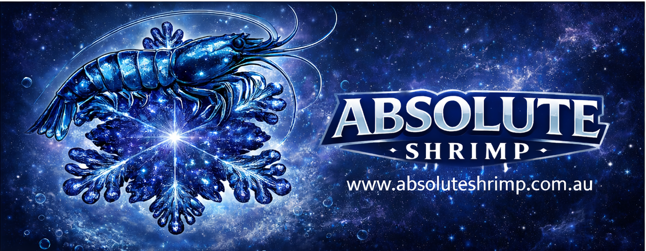 Absolute Shrimp logo with a blue shrimp graphic on a space-themed background